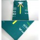 Polo Aston Martin Aramco Cognizant F1 2025 Team Homme