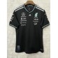 T-Shirt Mercedes-AMG Petronas F1 2025 Team Homme