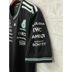 T-Shirt Mercedes-AMG Petronas F1 2025 Team Homme